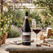 Idlewild Lost Hills Ranch Dolcetto in a courtyard garden with a glass of red