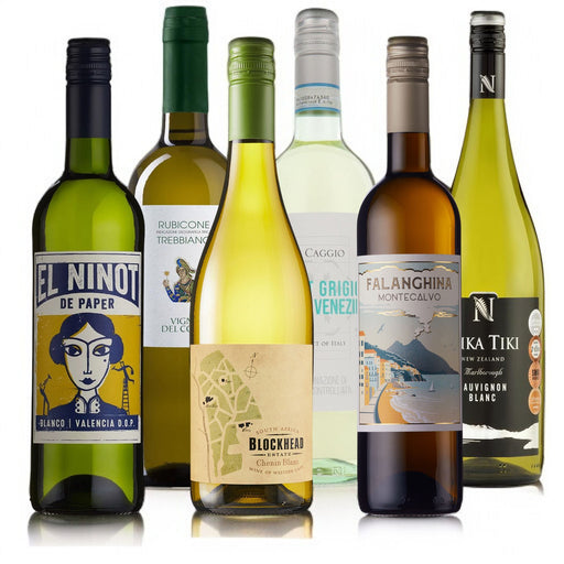 Introductory Mixed Wine Case 