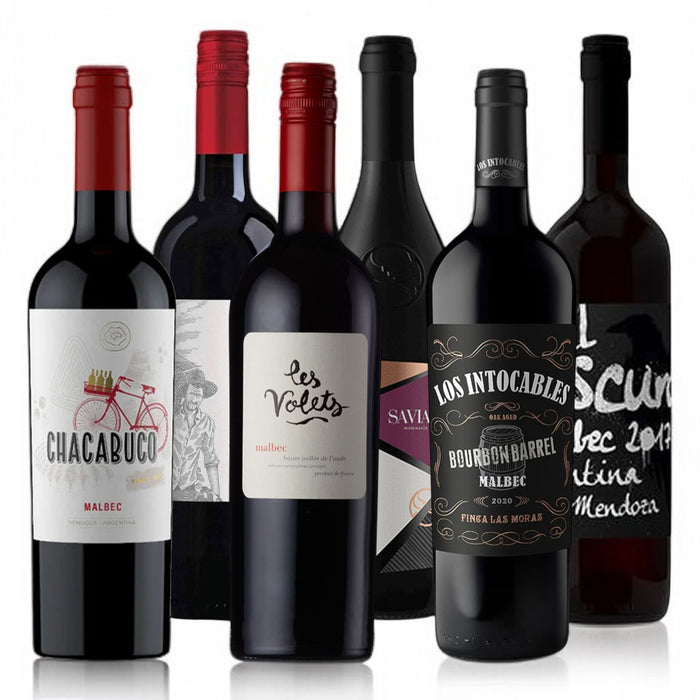 Introductory Mixed Malbec Red Wine Case