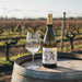 Kaori Rioja Blanco Vineyard