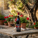 Montresor La Colombaia Amarone della Valpolicella DOCG with a glass on a table in a courtyard