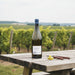 Pascal Jolivet Vineyard