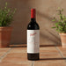 Penfolds wine bottle on a tiled surface with plants in the background