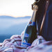 pommery brut