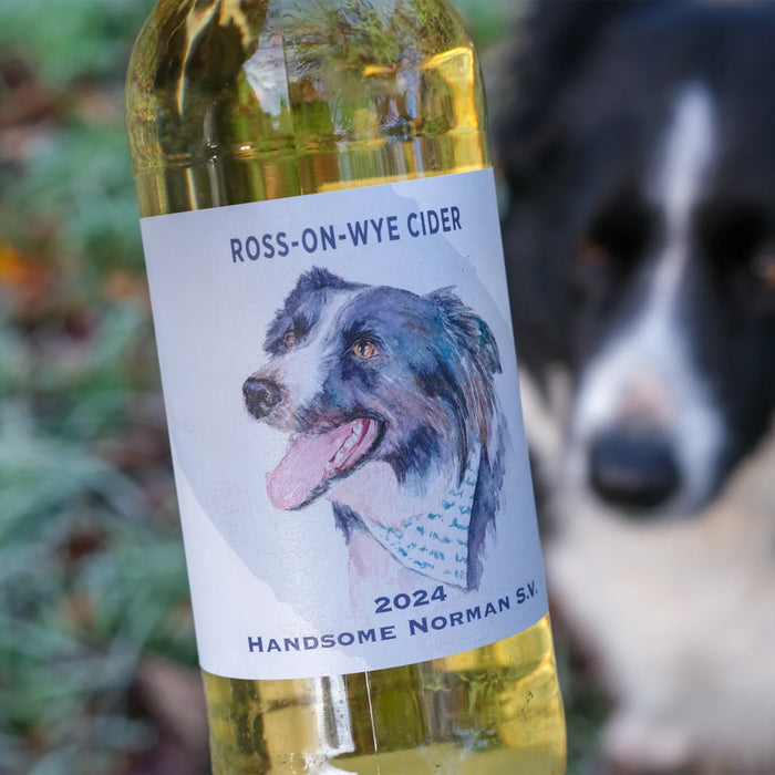 Close Up Of Ross-on-Wye Handsome Norman Cider Label