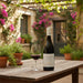 Te Mata Gamay Noir 