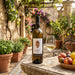 Tenuta Scuotto Campania Falanghina in a courtyard garden with a glass of wine ands bowl of fruit