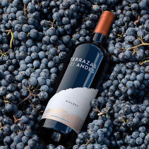 Terrazas de les Andes Malbec