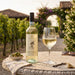 Trastullo Pinot Grigio