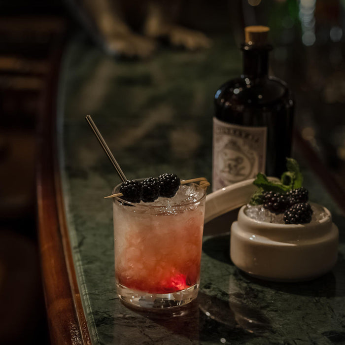 Monkey 47 Schwarzwald Dry Gin n tonic