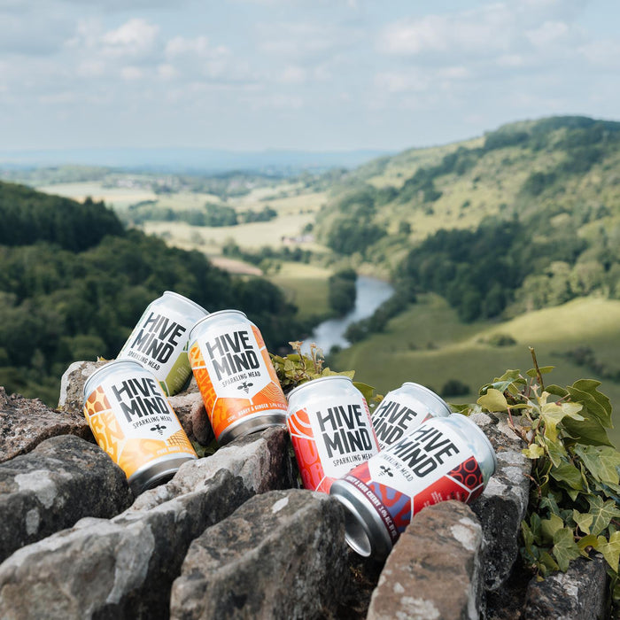 Hive Mind Sparkling Mead Mixed Cans From Monmouthshire