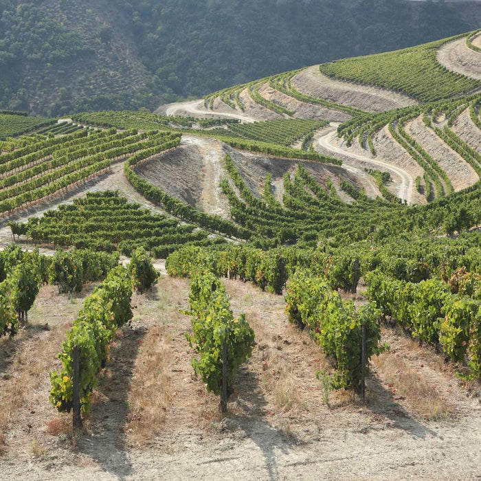 Fonseca Siroco White Port 75cl