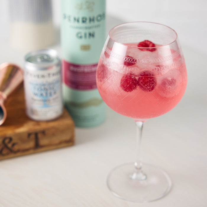 Penrhos Wonky Raspberry Gin 