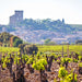 Vineyards In France