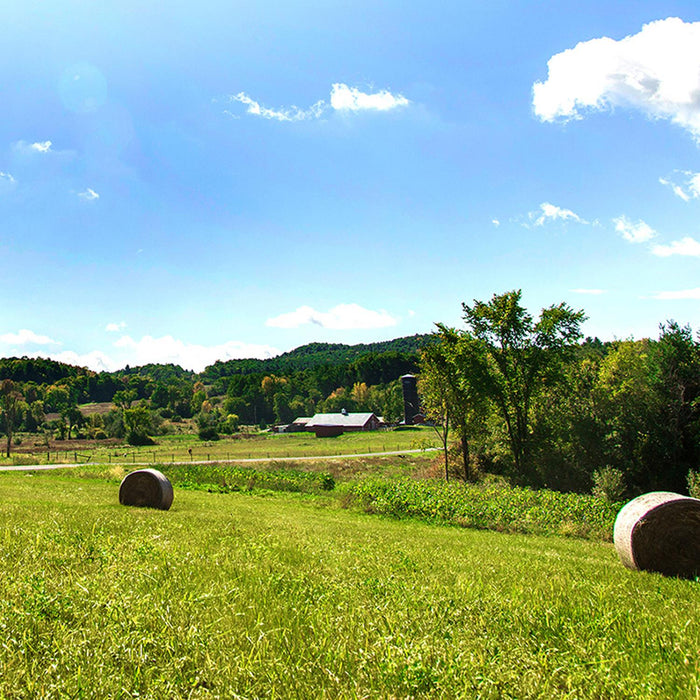 WhistlePig Distillery