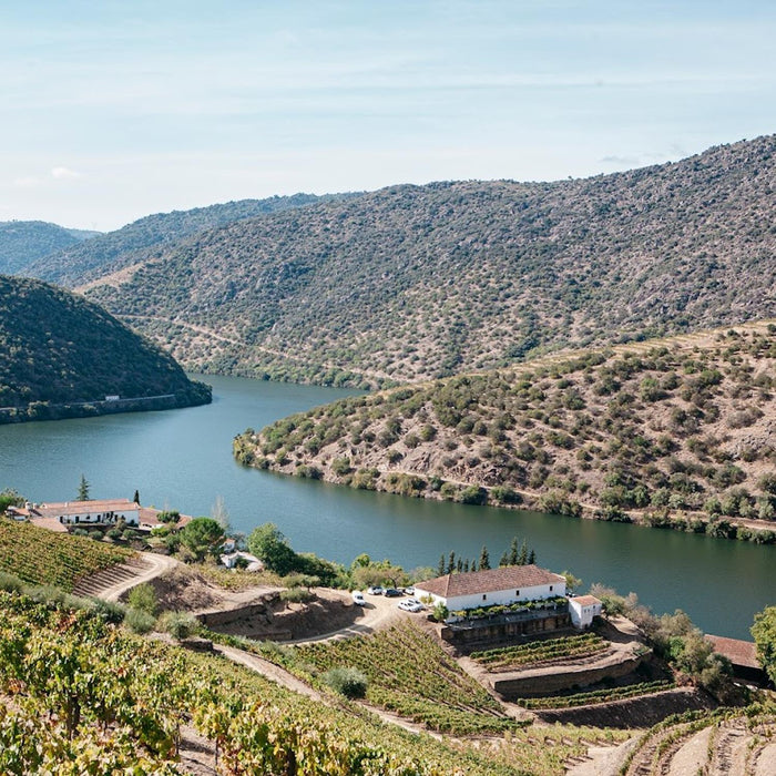 Taylors Vintage Port 2007 75cl