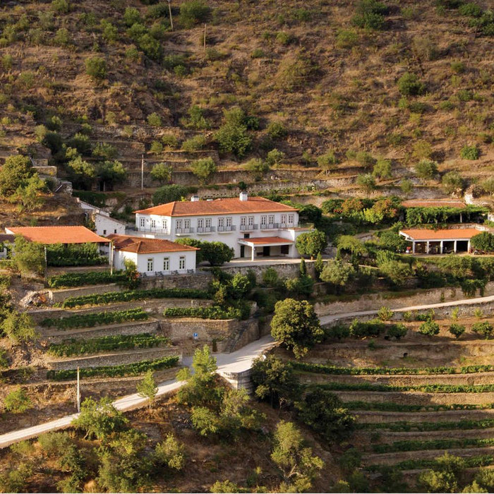 Fonseca Tawny Port In Wooden Gift Box 50cl