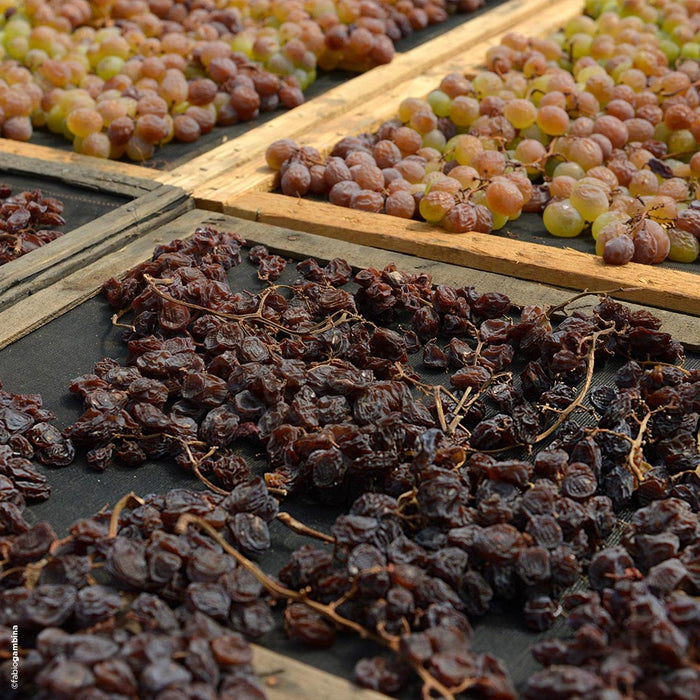 Donnafugata Ben Rye Passito Di Pantelleria 2022 37.5cl