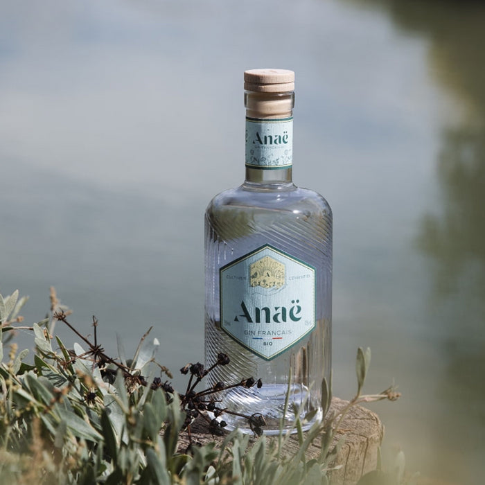 Anae Gin From Bollinger