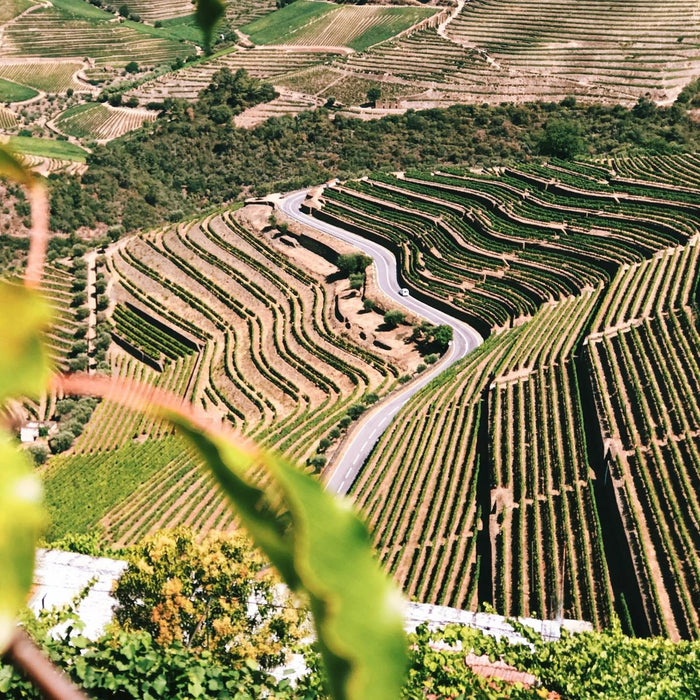 Quinta Do Noval Vineyards