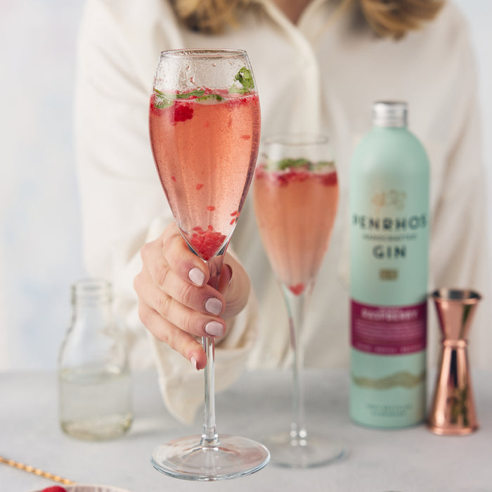 Penrhos Wonky Raspberry Gin 