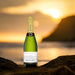 Sparkling Wine From Spain