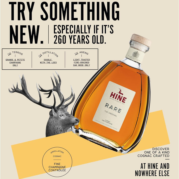 Try Something New Cognac Poster