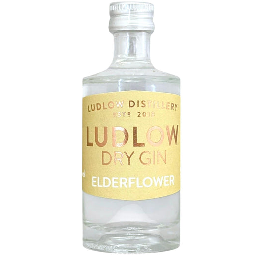 Ludlow Elderflower Gin Miniature