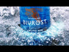 Bivrost Arctic Gin Video