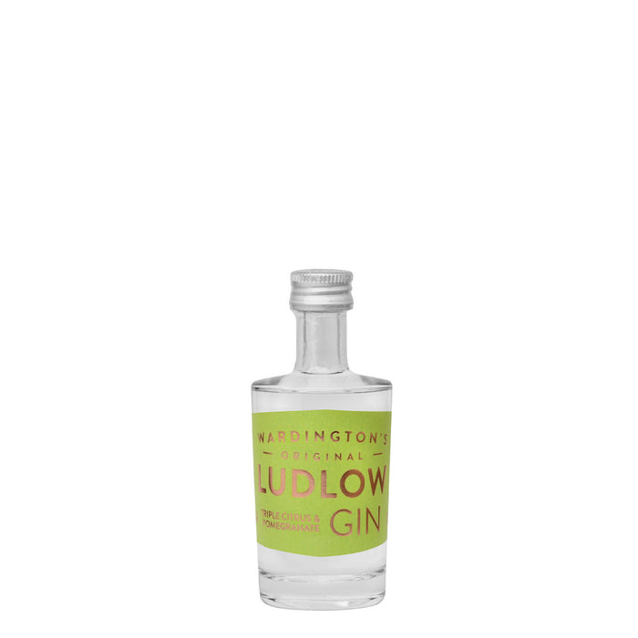 Ludlow Triple Citrus and Pomegranate Gin Miniature 5cl