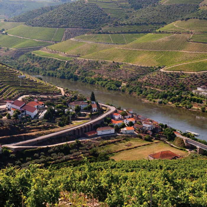 Graham's Vineyards In Portugal