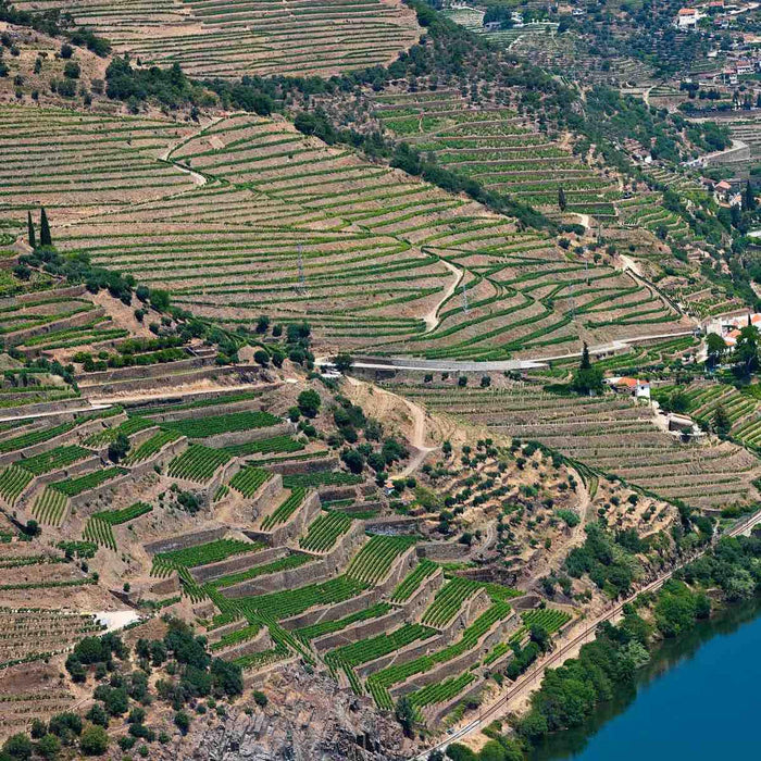 Ariel View Of Quinta De La Rosa Vineyards