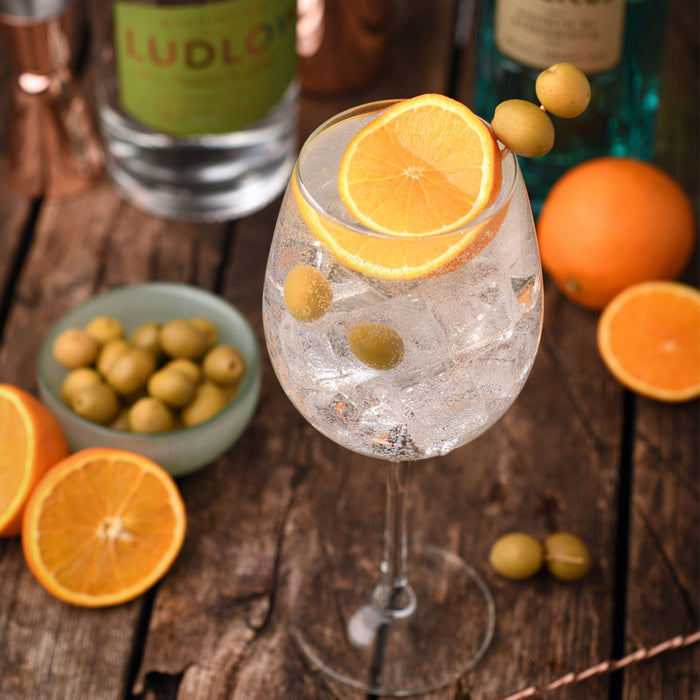Ludlow Triple Citrus and Pomegranate Gin Miniature 5cl