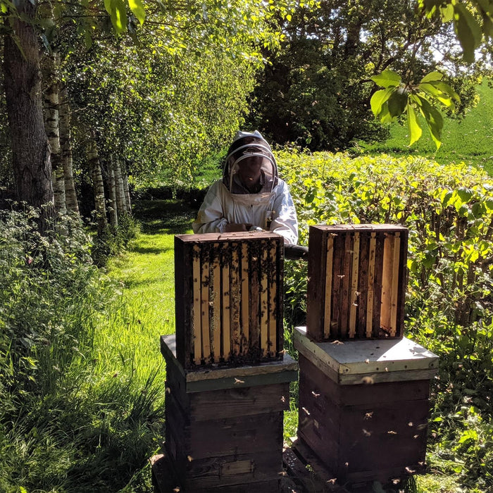 Wye Valley Meadery Bee Hives