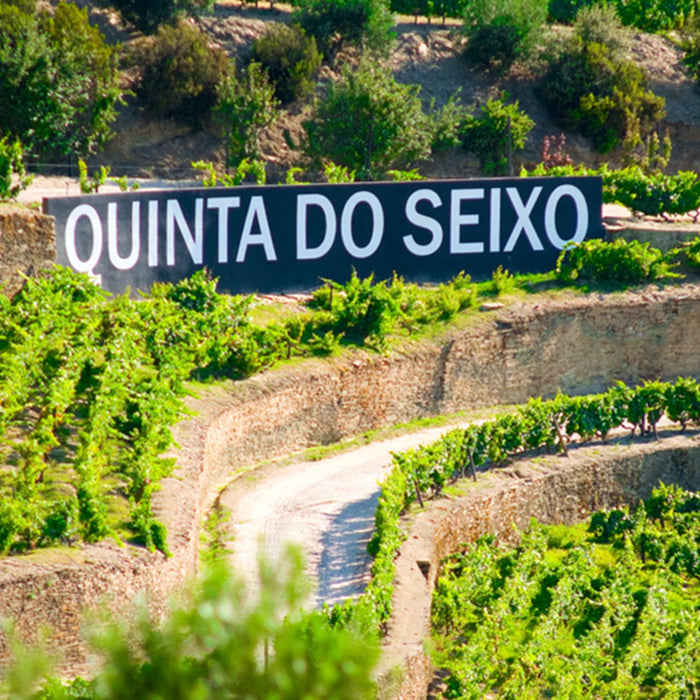 Sandeman Vineyards In Portugal