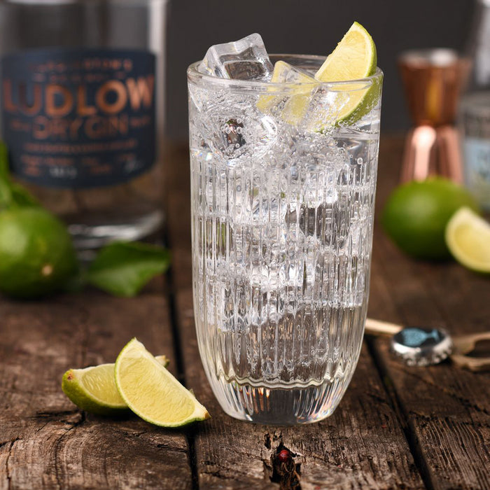 Ludlow Dry Gin Miniature 5cl