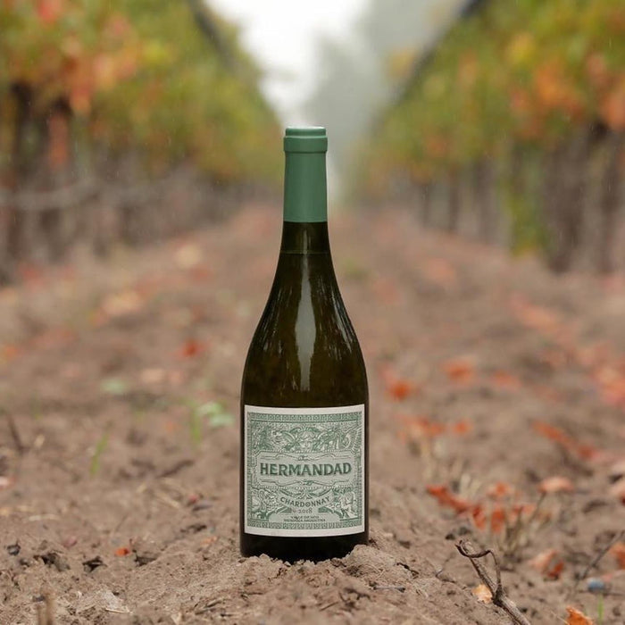 Familia Falasco Hermandad Chardonnay In Vineyard