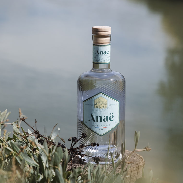 Bottle of Anae Bollinger Gin next to a lake