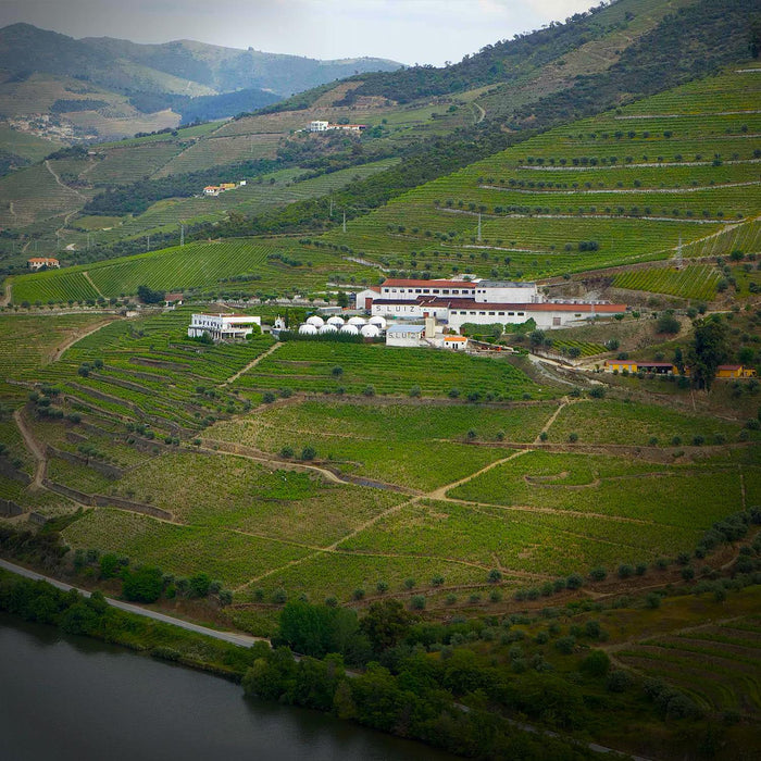 Kopke Vineyards In Portugal