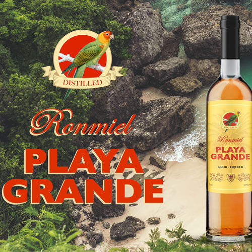 Ron Miel Playa Grande Honey Liqueur 5cl Mini Trio 3 x 5cl 20% ABV