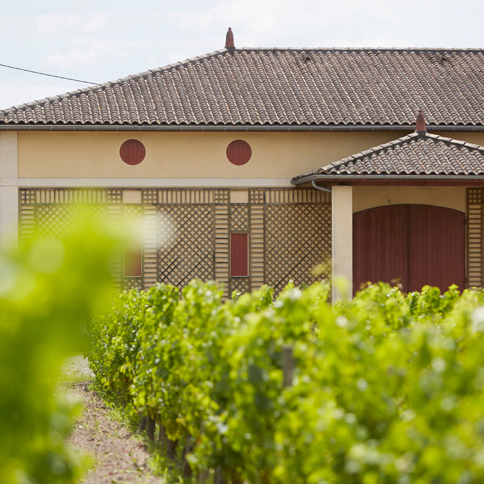 Chateau In Bordeaux