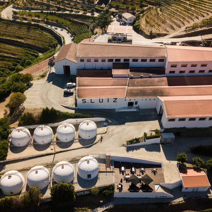 Kopke Vineyards In Portugal